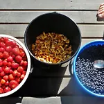 Ainola Alapitkä