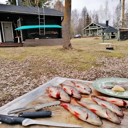 Ainola Dom wakacyjny Alapitkä