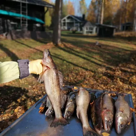 Ainola Dom wakacyjny