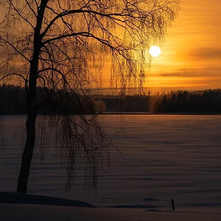 Ainola Alapitkä