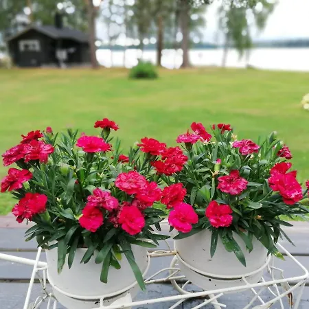Сasa de vacaciones Ainola Alapitkä