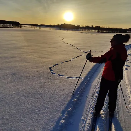 Дом отдыха Ainola