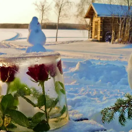 Дом отдыха Ainola