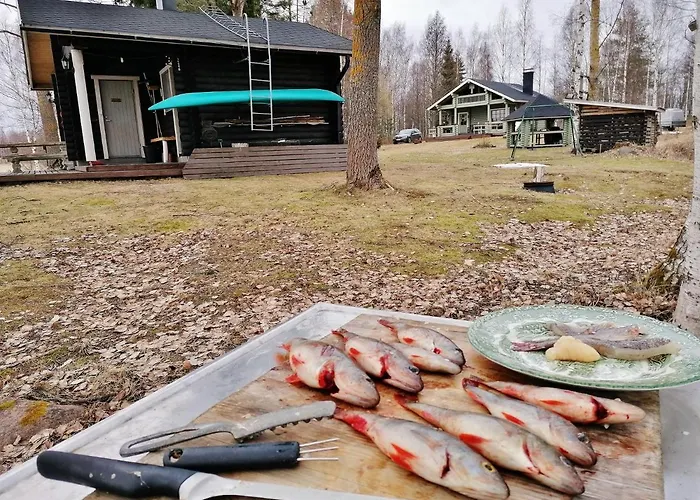 Ainola Дом отдыха Алапиткя