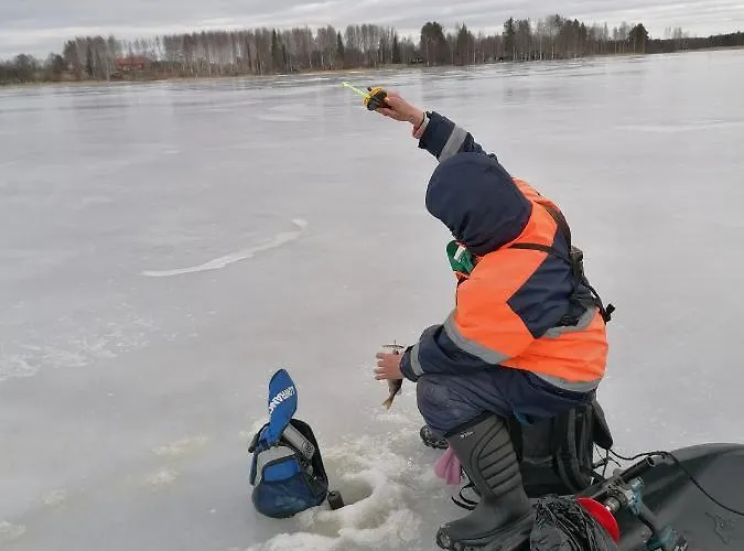Дом отдыха Ainola Алапиткя