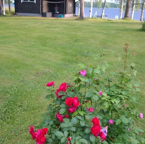 Ainola * Алапиткя