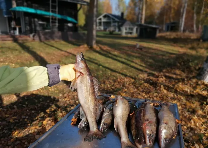 Ainola Дом отдыха