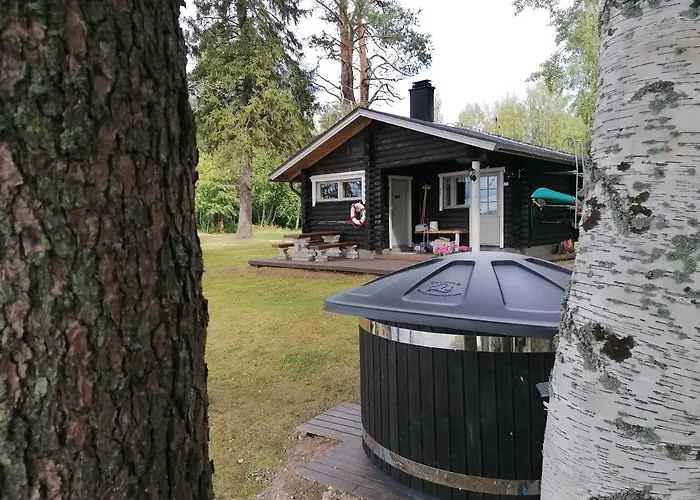 Дом отдыха Ainola *