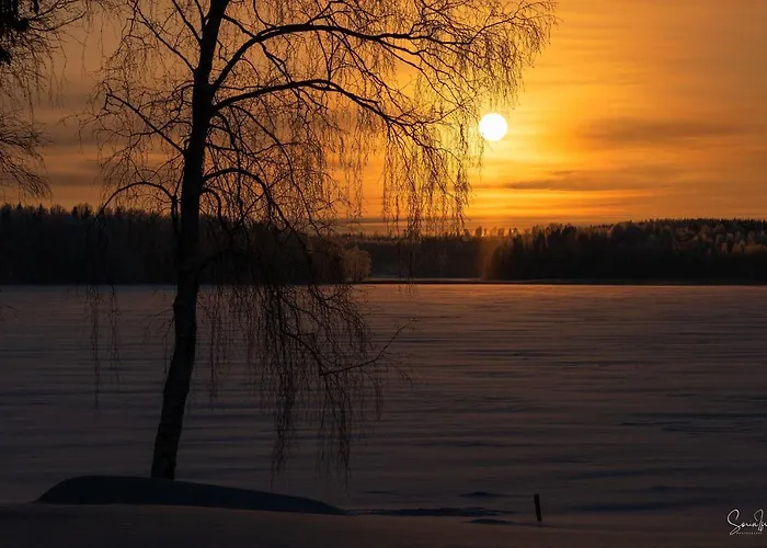 Ainola Алапиткя