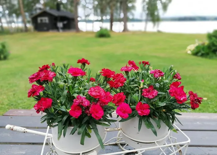 Дом отдыха Ainola Алапиткя