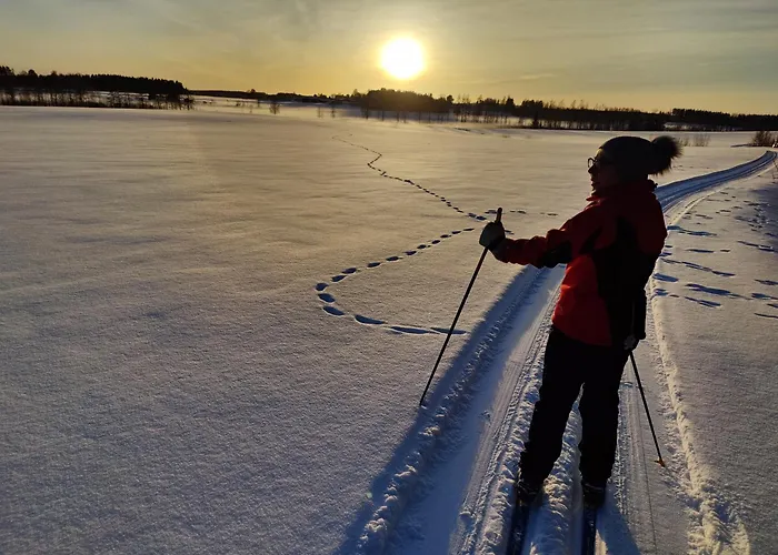 Дом отдыха Ainola