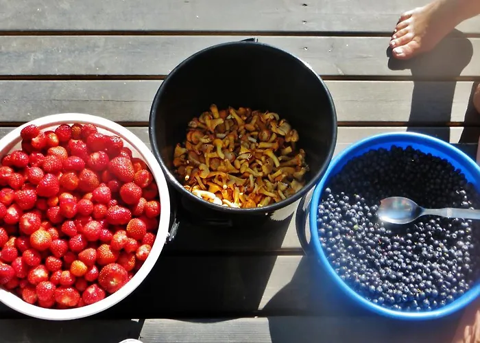 Ainola Алапиткя