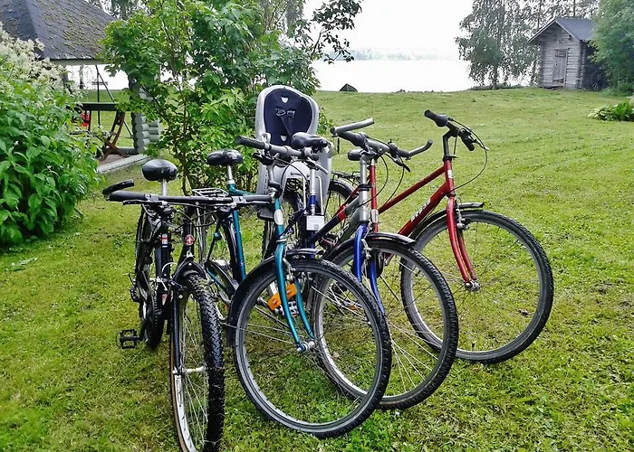 Ainola Алапиткя