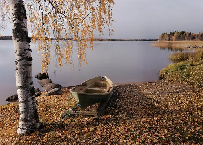 Дом отдыха Ainola *